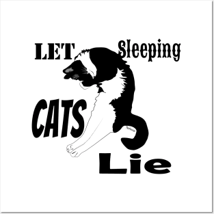 Cute Tuxedo Cat Let sleeping cat lie Copyright TeAnne Posters and Art